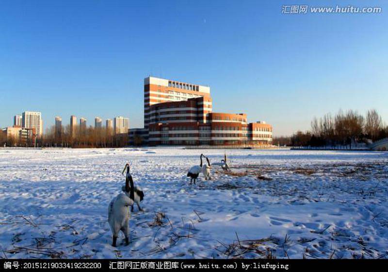 成人教育学校 www.nepuzs.com